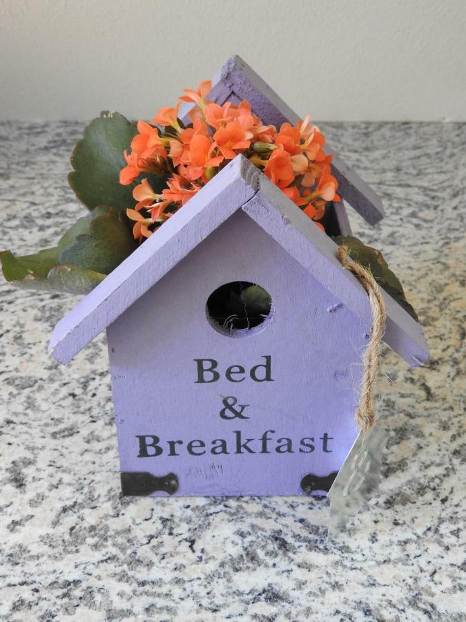 Sweet Home Suite Hallerndorf Esterno foto